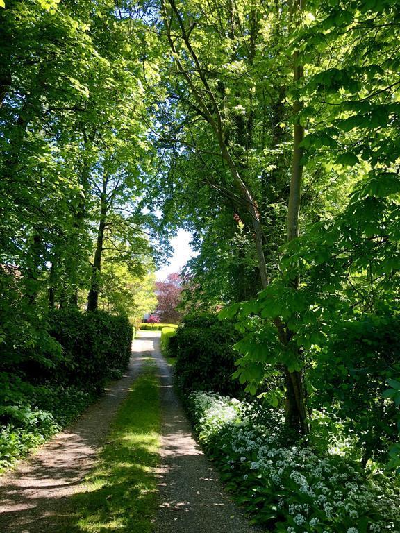 Chateau La Feuillaie Bed and Breakfast Wailly-Beaucamp Buitenkant foto